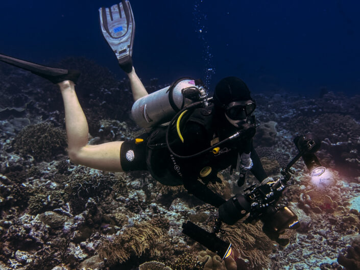 Banda Sea Diving with Expedition Biru