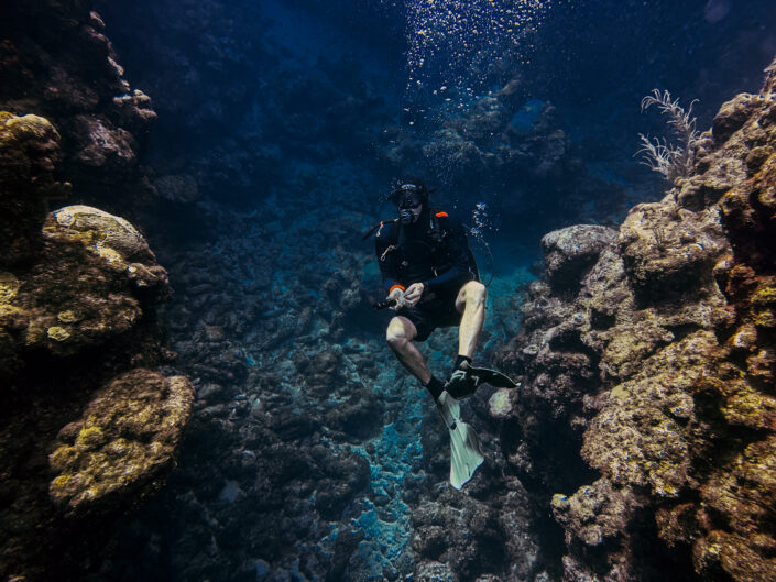 Stay and Dive with Roatan Diving School